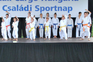 Karate bemutató - Sportnap